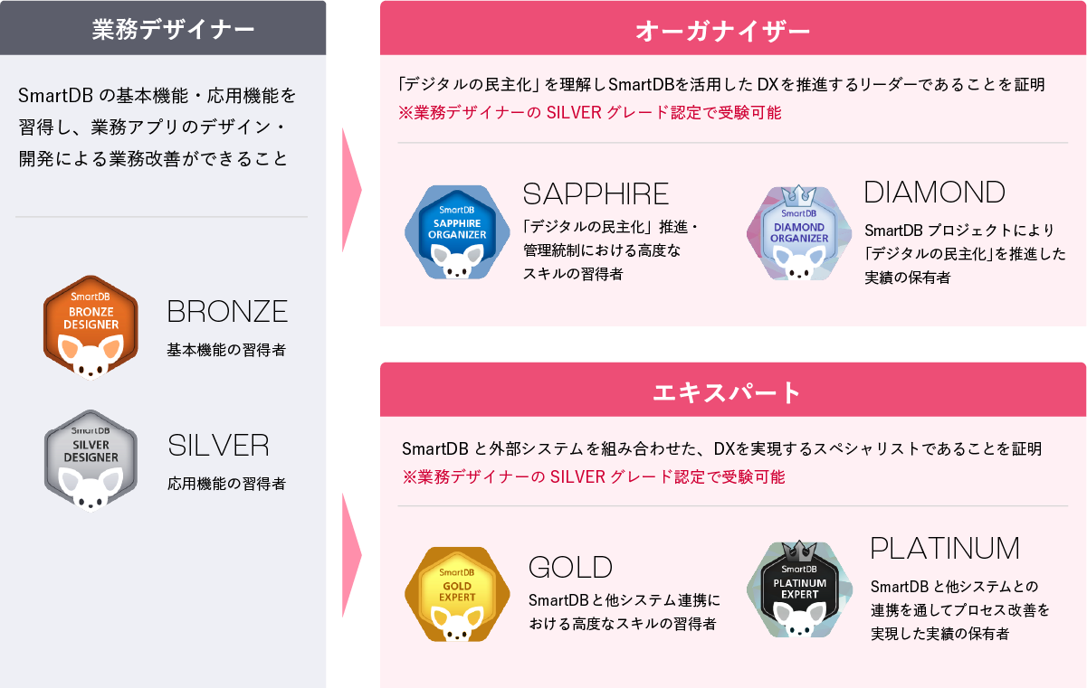 【SmartDB®︎認定資格制度(SCS)3つの種類と6つのグレード】